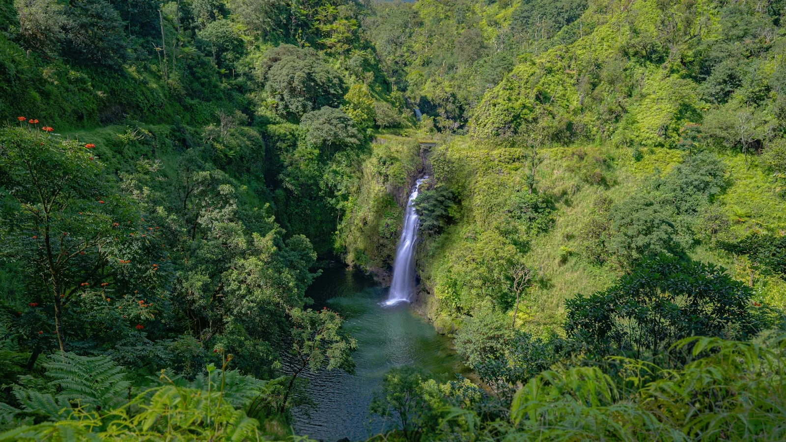 Jour 2 : La Route de Hana — la plus belle drive d'Hawaï