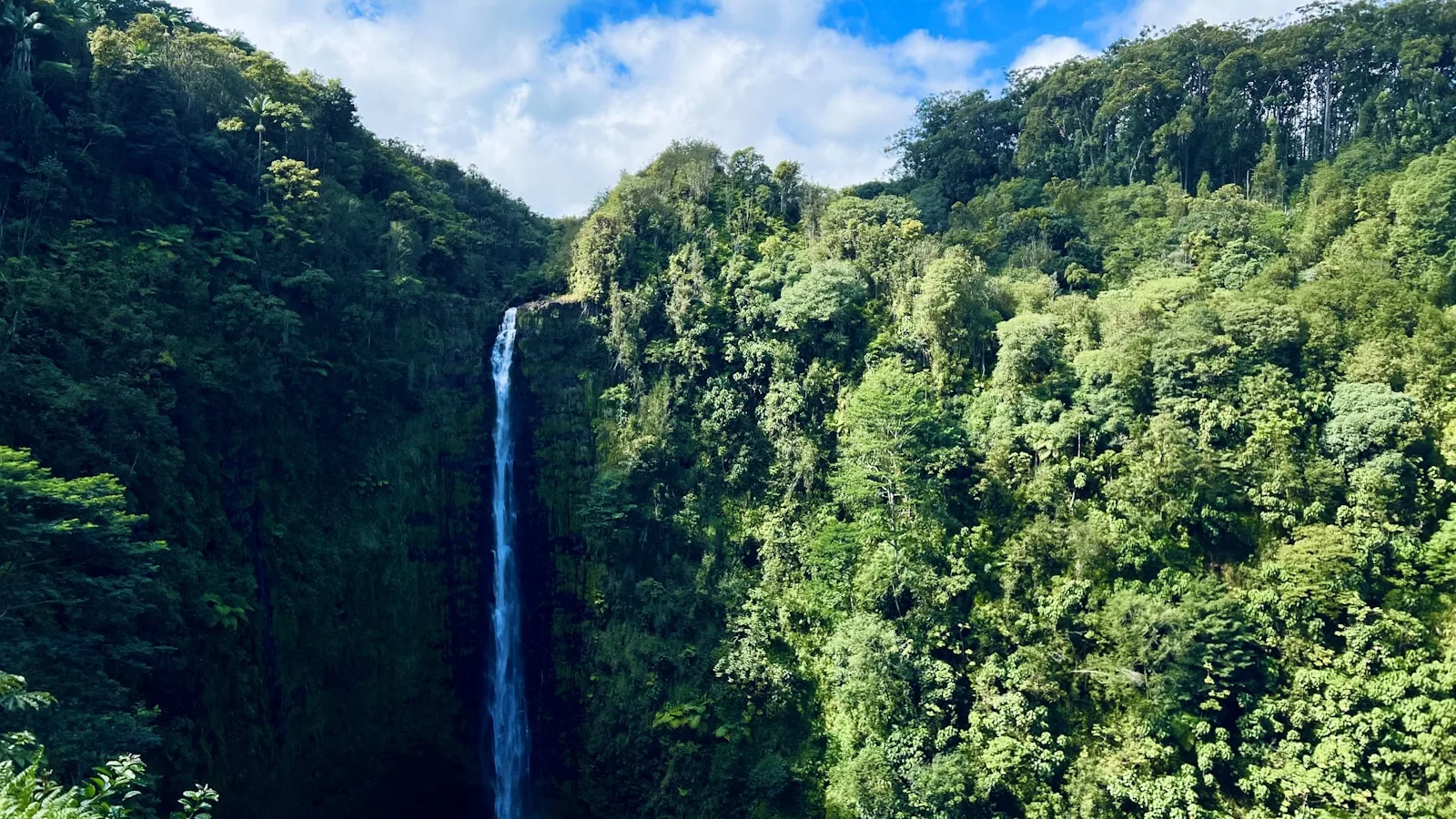Akaka Falls : la grande cascade de la côte est
