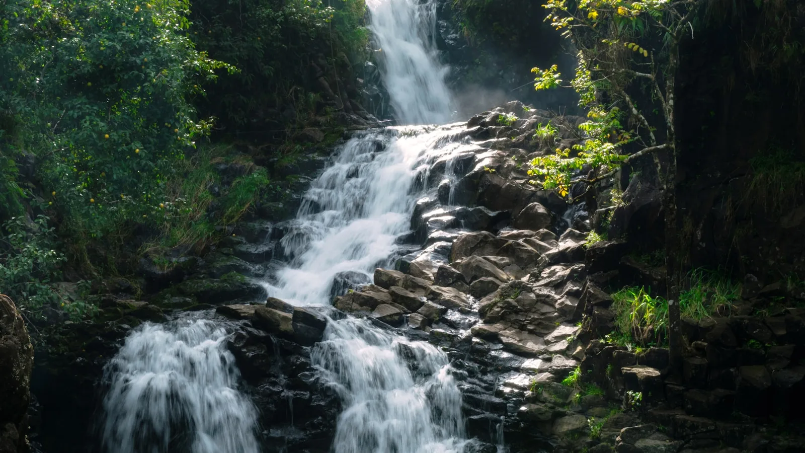 ️ La route de Hana : la plus belle route d'Hawaï