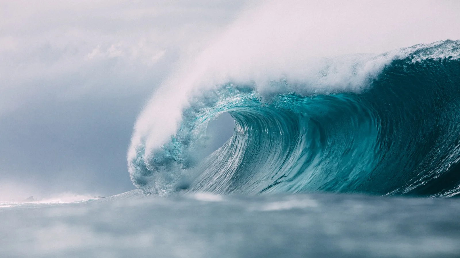 Le North Shore : le temple du surf
